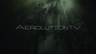 Link to Video | fictional extraterrestrial, darkness, fog, forest, mysticism, night, uncanny, light