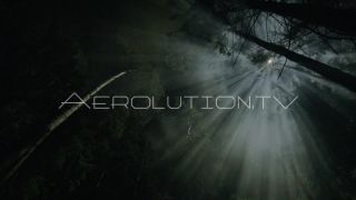 Link to Video | fictional extraterrestrial, darkness, fog, forest, mysticism, night, uncanny, light