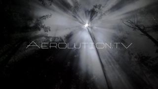 Link to Video | fictional extraterrestrial, darkness, fog, forest, mysticism, night, uncanny, light