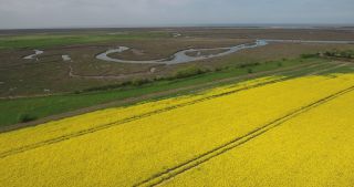 Link to Video | landscape, United Kingdom, rural area, England, color, Cornwall, Great Britain, 4K resolution, 2019, aerial shot, Landskab / Landscape