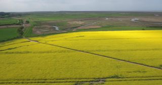 Link to Video | landscape, United Kingdom, rural area, England, color, Cornwall, Great Britain, 4K resolution, 2019, aerial shot, Landskab / Landscape