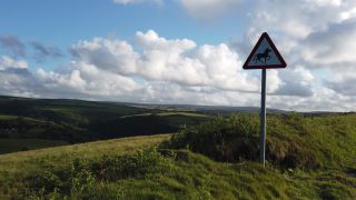 Link to Video | footage, England