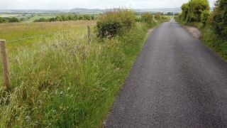 Link to Video | landscape, footage, United Kingdom, rural area, England, Great Britain, 4K resolution, 2019, Landskab / Landscape