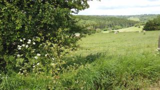 Link to Video | landscape, footage, United Kingdom, rural area, England, Great Britain, 4K resolution, 2019, Landskab / Landscape