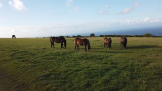 Link zum Video | Footage, England