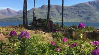 Link zum Video | Highlands, Footage, Schottland, Luftaufnahme
