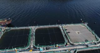 Link to Video | Scottish Highlands, footage, United Kingdom, sea, fishery, aquaculture, fish farming, Loch Cairnbawn, Scotland, 4K resolution, 2018, bay, aerial shot, industrial sector