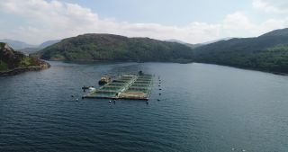 Link to Video | Scottish Highlands, footage, United Kingdom, sea, fishery, aquaculture, fish farming, Loch Cairnbawn, Scotland, 4K resolution, 2018, bay, aerial shot, industrial sector