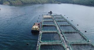 Link to Video | Scottish Highlands, footage, United Kingdom, sea, fishery, aquaculture, fish farming, Loch Cairnbawn, Scotland, 4K resolution, 2018, bay, aerial shot, industrial sector