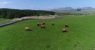 Link to Video | Scottish Highlands, footage, United Kingdom, raw material, Rohfilm, Scotland, color, 4K resolution, 2018, aerial shot