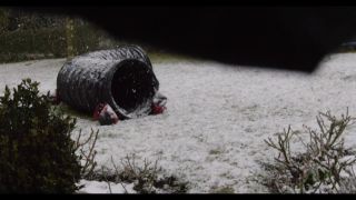 Link to Video | winter, Obedience school, Rassehund, 2016, dog sport, Scottish Terrier, dog breed, snow