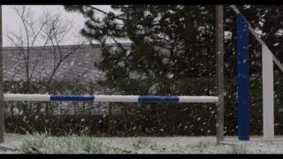 Link to Video | winter, Obedience school, Rassehund, 2016, dog sport, Scottish Terrier, dog breed, snow
