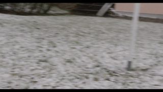 Link to Video | winter, Obedience school, Rassehund, 2016, dog sport, Scottish Terrier, dog breed, snow