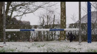 Link zum Video | Winter, Hundeschule, Rassehund, 2016, Hundesport, Scottish Terrier, Hunderasse, Schnee