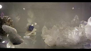 Link zum Video | 2016