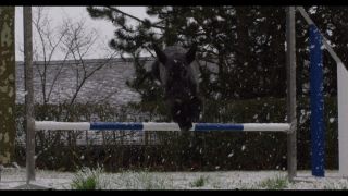 Link to Video | 2016