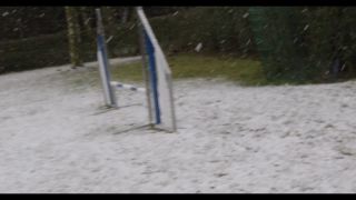 Link to Video | winter, Obedience school, Rassehund, 2016, dog sport, Scottish Terrier, dog breed, snow