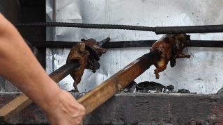 Link to Video | South America, Ecuador