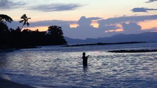 Link to Video | Fiji