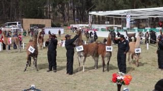Link to Video | South America, Ecuador