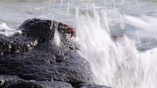 Link to Video | South America, Ecuador