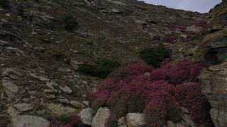 Link zum Video | Vogelperspektive, Footage, Tinos, Farbe, 4K, Greek Islands, 2020, Ägäisches Meer, Griechenland, Europa, Luftaufnahme, Mittelmeer