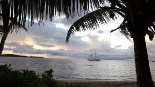Link to Video | Fiji