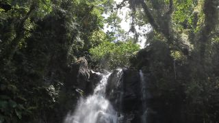 Link to Video | Fiji