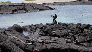 Link to Video | South America, Ecuador