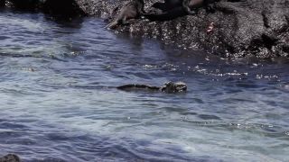 Link to Video | South America, Ecuador