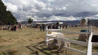 Link to Video | South America, Ecuador