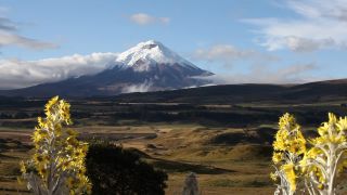 Link to Video | South America, Ecuador