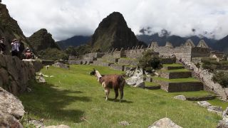 Link to Video | South America, Ecuador
