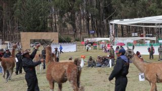 Link to Video | South America, Ecuador