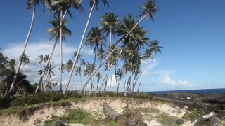Link to Video | 2011, Samoa