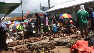 Link to Video | 2011, Samoa