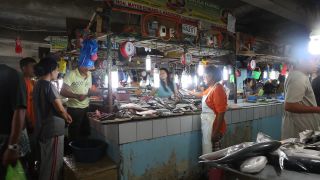 Link to Video | 2011, Philippines