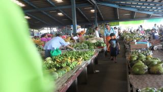 Link to Video | 2011, Samoa