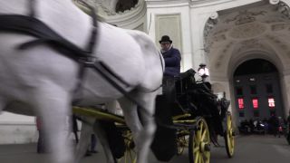 Link to Video | Vienna, Christmas, 2015