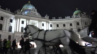 Link to Video | Vienna, Christmas, 2015