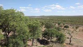 Link to Video | Namibia, Africa, Full High Definition, color