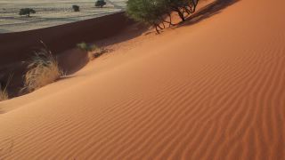Link to Video | Namibia, Africa, Full High Definition, color, desert