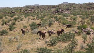 Link zum Video | Namibia, Landschaft, Afrika, Full High Definition, Big Five, 2008, Farbe, Afrikanischer Elefant, Savanne, Tier, Säugetiere, Elefant, Natur, Wildnis