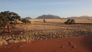 Link to Video | Namibia, Africa, Full High Definition, color, desert