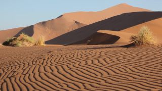 Link to Video | Namibia, Africa, Full High Definition, color, desert