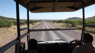 Link zum Video | Namibia, Landschaft, Afrika, 2008, Savanne, Safari