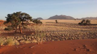 Link to Video | Namibia, Africa, Full High Definition, color