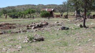 Link to Video | Namibia, Full High Definition, productive animal, Equus africanus asinus, 2008, Equus africanus, color, Black Africans, cart, boy, daytime, animal, child