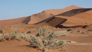 Link to Video | Namibia, Africa, Full High Definition, color, desert
