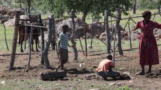 Link to Video | Namibia, indigenous people, Africa, Full High Definition, 2008, color, Black Africans, child